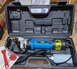 طوندوز الكباش